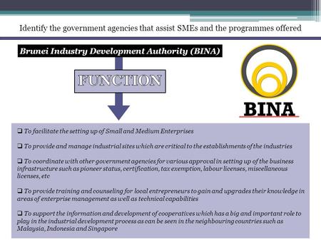 Identify the government agencies that assist SMEs and the programmes offered Brunei Industry Development Authority (BINA)  To facilitate the setting up.