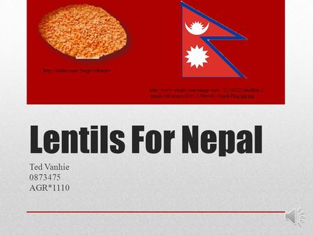 Lentils For Nepal Ted Vanhie 0873475 AGR*1110   /maxh/460/maxw/620/-/129rwx8/-/Nepal-Flag-jpg.jpg.