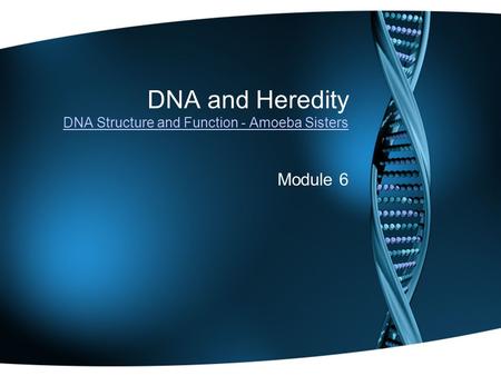 DNA and Heredity DNA Structure and Function - Amoeba Sisters DNA Structure and Function - Amoeba Sisters Module 6.