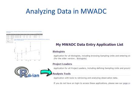 Analyzing Data in MWADC. Outline What is Ravian and what is the Analyst application? Accessing the Analyst application What you can do with the Analyst.