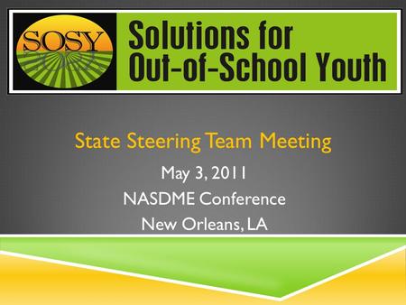 State Steering Team Meeting May 3, 2011 NASDME Conference New Orleans, LA.