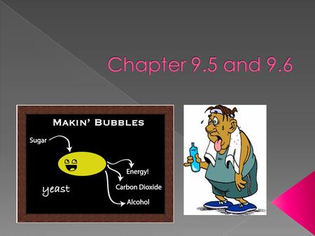  Fermentation: a catabolic process that makes a limited amount of ATP from glucose without an electron transport chain and that produces a characteristic.