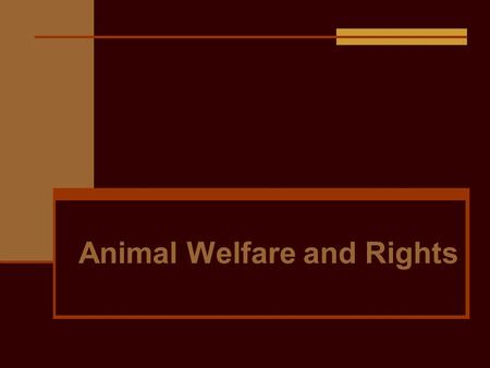 Animal Welfare and Rights. Animal Welfare Humane treatment of animals A human responsibility that includes consideration for all aspects of animals well.