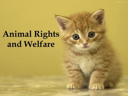 Animal Rights and Welfare. Animal Rights Animal rights, also referred to as animal liberation, is the idea that the most basic interests of animals should.