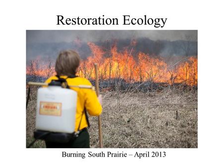 Restoration Ecology Burning South Prairie – April 2013.