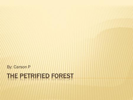 By: Carson P.  The Petrified Forest National Park was founded in 1915. The trees were there before it was founded. It became a park to show citizens.