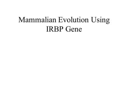 Mammalian Evolution Using IRBP Gene. Goal: To provide a problem space wherein students can use sequence data using a slowly evolving genes to resolve.