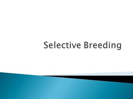  They want desirable traits from these organisms, for example: ◦ Bright, colorful flowers ◦ Pesticide resistant vegetable and fruit crops that can live.