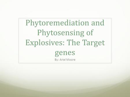 Phytoremediation and Phytosensing of Explosives: The Target genes By: Ariel Moore.