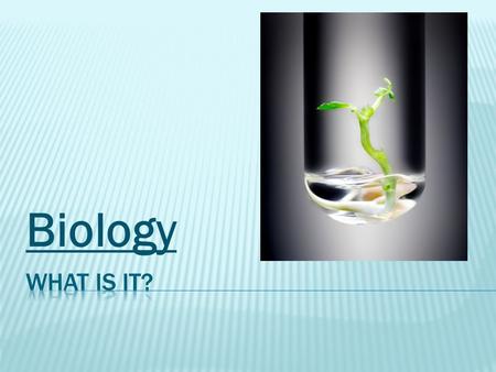 Biology. Biology - is a natural science concerned with the study of life. This includes the study of a living organism’s structure, function, origin,