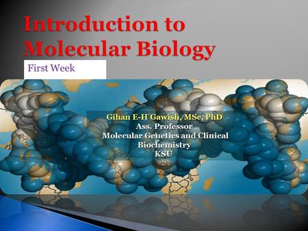 First Week Gihan E-H Gawish, MSc, PhD Ass. Professor Molecular Genetics and Clinical Biochemistry Molecular Genetics and Clinical BiochemistryKSU.