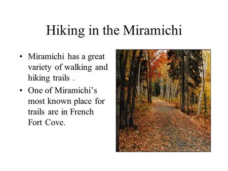 Hiking in the Miramichi Miramichi has a great variety of walking and hiking trails. One of Miramichi’s most known place for trails are in French Fort Cove.