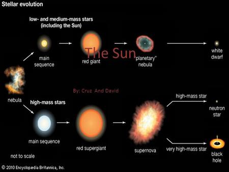 The Sun By: Cruz Mendez, David Chen By: Cruz And David The Sun.