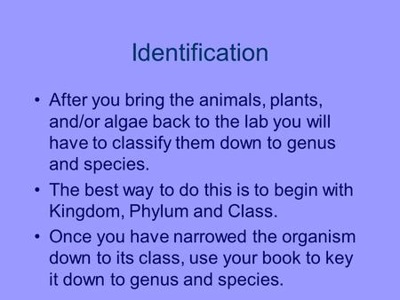 Identification After you bring the animals, plants, and/or algae back to the lab you will have to classify them down to genus and species. The best way.