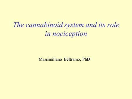 The cannabinoid system and its role in nociception Massimiliano Beltramo, PhD.