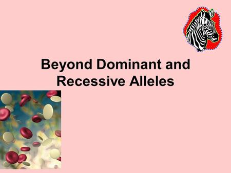 Beyond Dominant and Recessive Alleles. Incomplete Dominance: when neither allele is completely dominant over the other. · Results in the heterozygous.