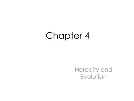 Chapter 4 Heredity and Evolution. Epigenetics  3/  3/ LA Times Article.