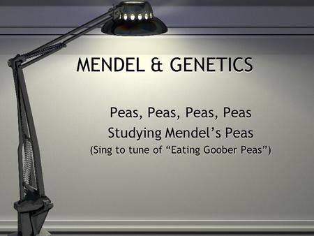 MENDEL & GENETICS Peas, Peas, Peas, Peas Studying Mendel’s Peas (Sing to tune of “Eating Goober Peas”) Peas, Peas, Peas, Peas Studying Mendel’s Peas (Sing.