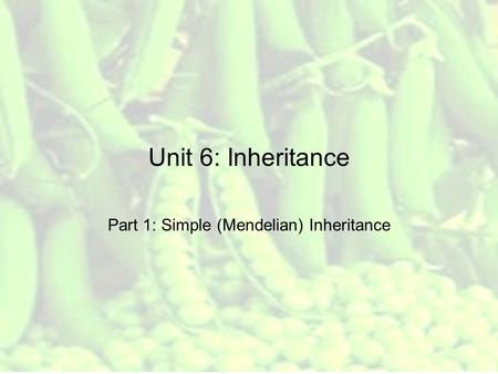 Unit 6: Inheritance Part 1: Simple (Mendelian) Inheritance.