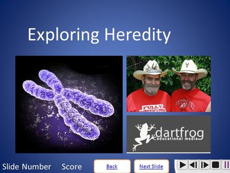 Next SlideBack Slide Number Score Exploring Heredity.