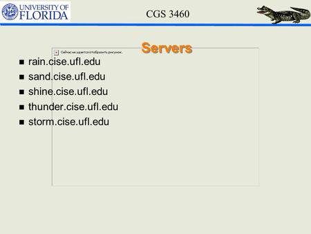 CGS 3460 Servers n rain.cise.ufl.edu n sand.cise.ufl.edu n shine.cise.ufl.edu n thunder.cise.ufl.edu n storm.cise.ufl.edu.