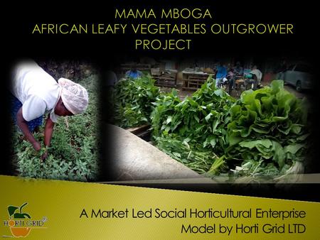 A Market Led Social Horticultural Enterprise Model by Horti Grid LTD.