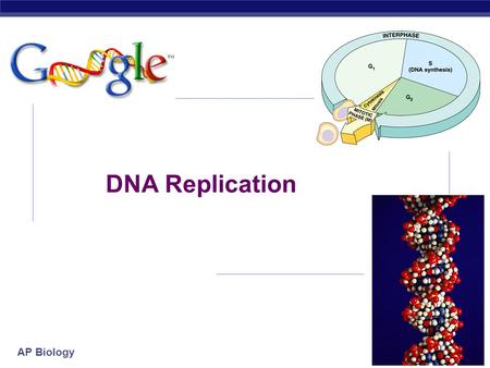 AP Biology 2007-2008 DNA Replication AP Biology Watson and Crick 1953 article in Nature.