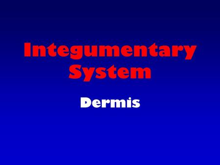 Integumentary System Dermis. 2 layers of skin Epidermis – Surface layer of skin.