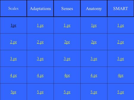 2 pt 3 pt 4 pt 5pt 1 pt 2 pt 3 pt 4 pt 5 pt 1 pt 2pt 3 pt 4pt 5 pt 1pt 2pt 3 pt 4 pt 5 pt 1 pt 2 pt 3 pt 4pt 5 pt 1pt Scales AdaptationsSensesAnatomySMART.