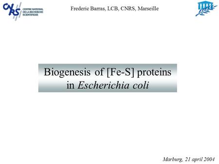 Biogenesis of [Fe-S] proteins in Escherichia coli