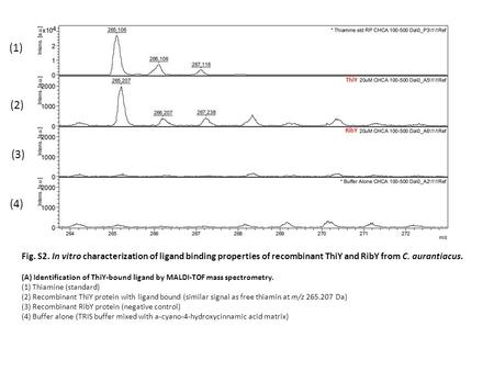 Fig. S2. In vitro characterization of ligand binding properties of recombinant ThiY and RibY from C. aurantiacus. (A) Identification of ThiY-bound ligand.