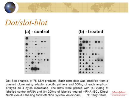 Dot/slot-blot (a) - control (b) - treated