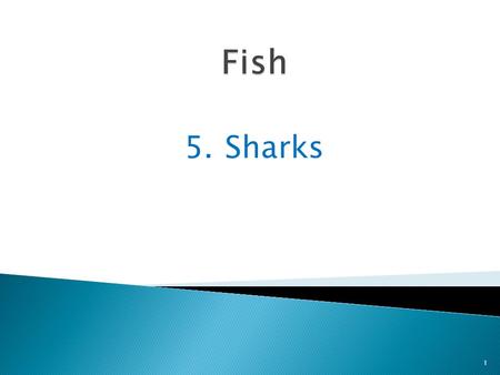 5.Sharks 1. Sharks are fast-swimming fish 2 that glide through water at speeds up to 40 miles an hour.