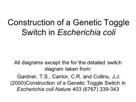 Construction of a Genetic Toggle Switch in Escherichia coli