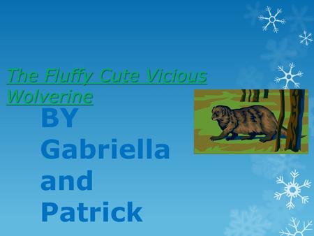 The Fluffy Cute Vicious Wolverine BY Gabriella and Patrick.