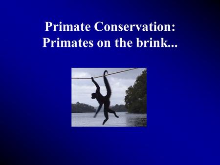 Primate Conservation: Primates on the brink.... Some facts... 80 million or more plants and animals make up world’s biodiversity Over half of these species.