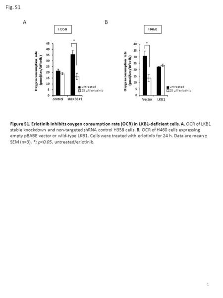 Fig. S1 1 Oxygen consumption rate (pmol/sec/10⁶cells) shLKB1#1 control * untreated 25 μM erlotinib H358 Vector LKB1 Oxygen consumption rate (pmol/sec/10⁶cells)