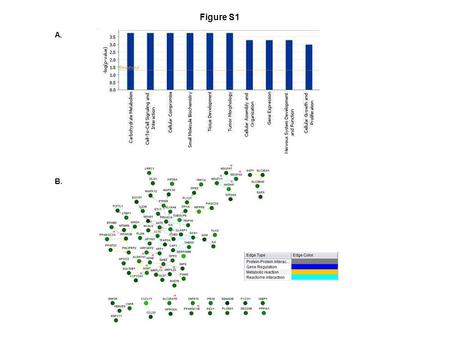 Figure S1 A. B. * * * * * * * * * * * * *. Figure S2 A. B. Fold Increase OxPhos Genes.