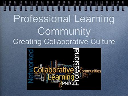 Professional Learning Community