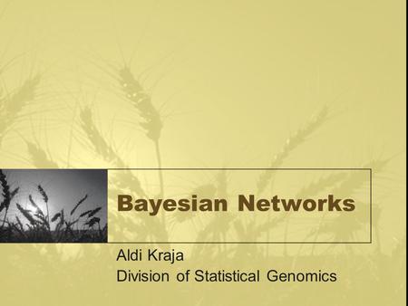 Bayesian Networks Aldi Kraja Division of Statistical Genomics.