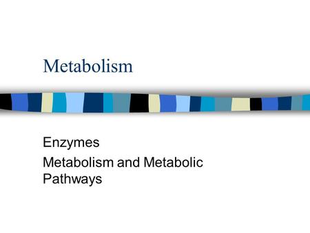 Metabolism Enzymes Metabolism and Metabolic Pathways.