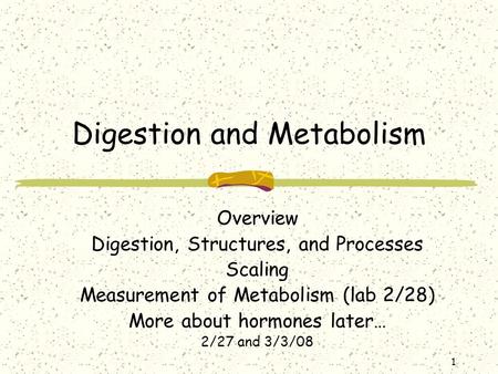 1 Digestion and Metabolism Overview Digestion, Structures, and Processes Scaling Measurement of Metabolism (lab 2/28) More about hormones later… 2/27 and.