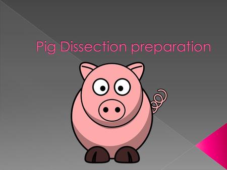  Your performance during the dissection (Monday to Thursday) › Professionalism, attitude › Preparedness (homework for the weekend) › Skill (knowledge.