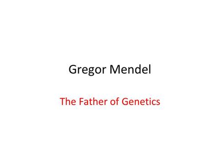 Gregor Mendel The Father of Genetics. 2 Gregor Mendel (1822-1884) Responsible for the Laws governing Inheritance of Traits.