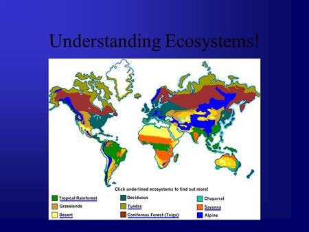 Understanding Ecosystems!. Common Core/ Next Generation Science Addressed MS ‐ LS2 ‐ 2. -Construct an explanation that predicts patterns of interactions.