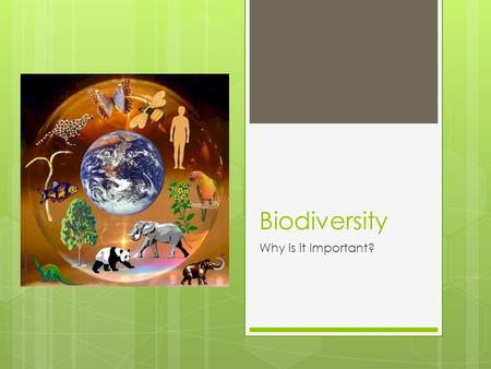 Biodiversity Why is it Important?. Biodiversity Learning Targets:  I can predict what may happen to an ecosystem if biotic or abiotic factors are changed.