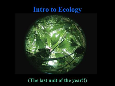 Intro to Ecology (The last unit of the year!!). What Is Ecology?