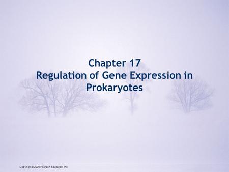 Regulation of Gene Expression in Prokaryotes