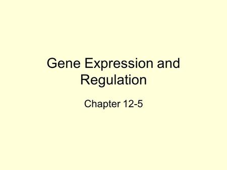 Gene Expression and Regulation