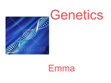 Genetics Emma. The Basics of DNA D.N.A.~ deoxyribonucleic acid that tells how to make the organism, DNA is different for everyone Double Stranded Helix~